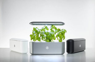 jardin inteligente maceta domotica