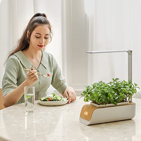 macetas inteligentes para cultivar